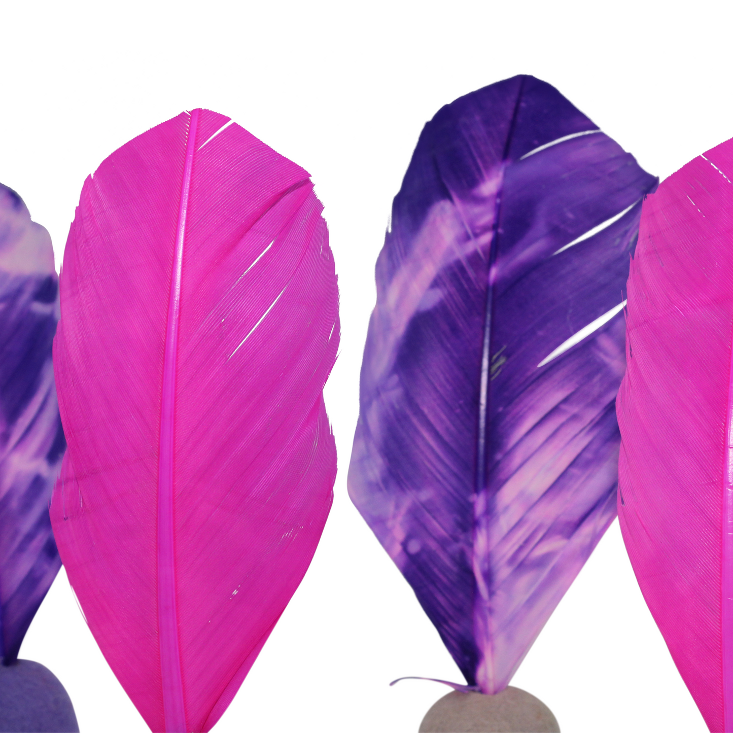 PURRFESSIONAL - Catnip, Feathers and Felt