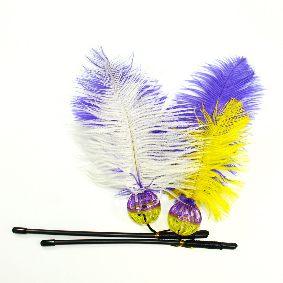 APAWLLO - Feather Wands Infused with Catnip