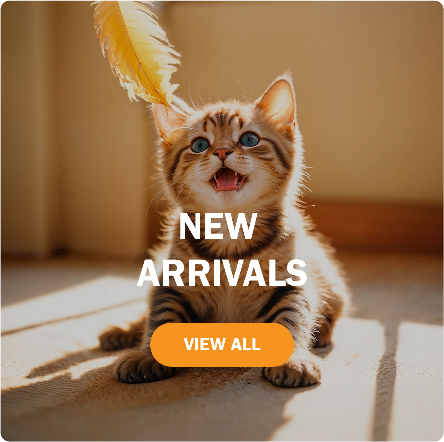 New Arrivals