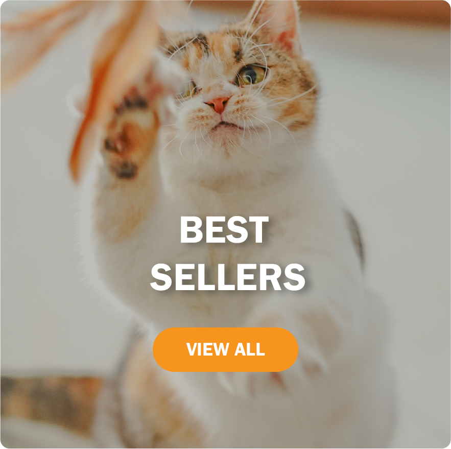 Best Sellers