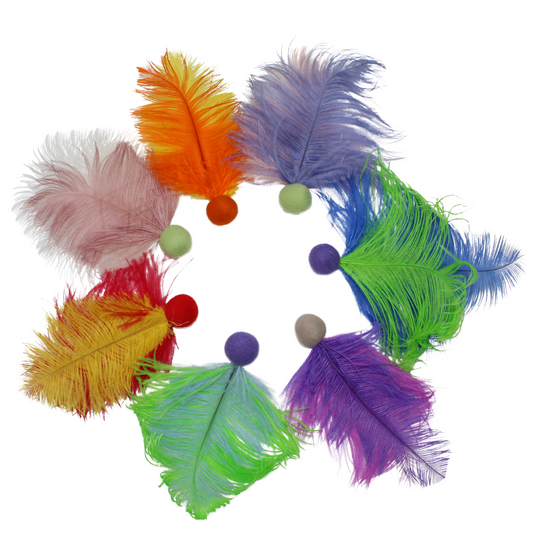 PAWMAZING - Catnip Infused Felt Toy