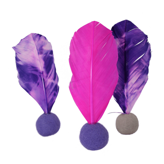 PURRFESSIONAL - Catnip, Feathers and Felt