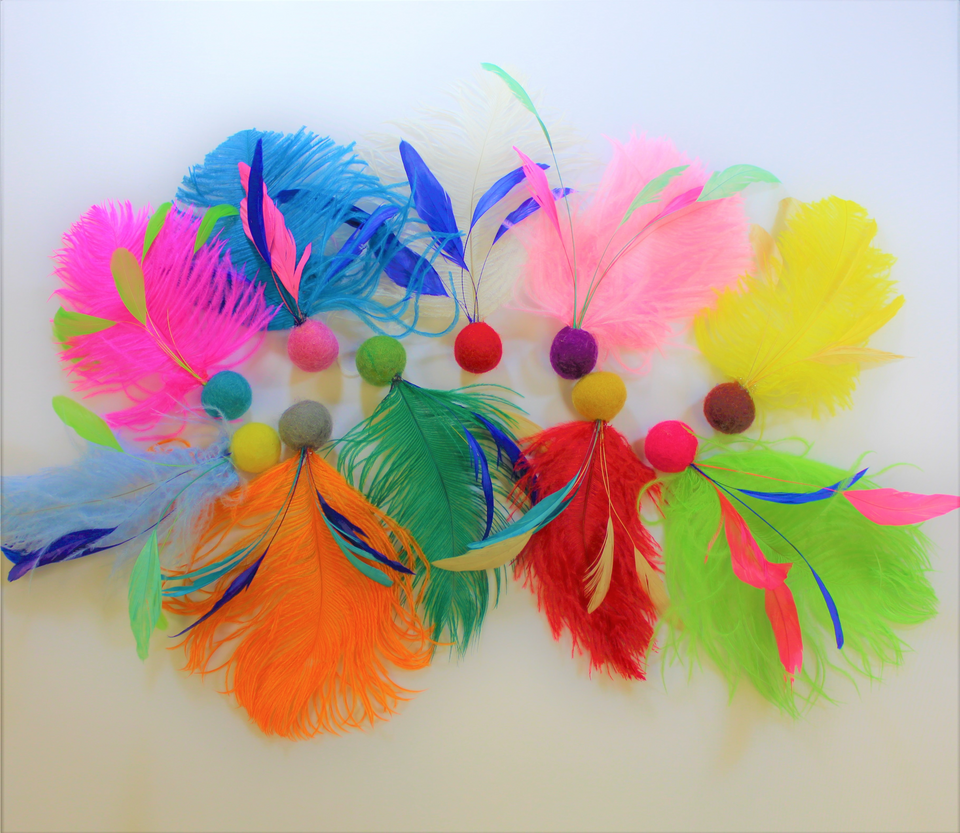 Ostrich and Rooster Feather Cat Toy